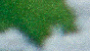 TheLeaf